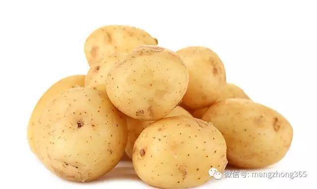 蔬菜常见病虫害用药名录！珍藏版(图6)