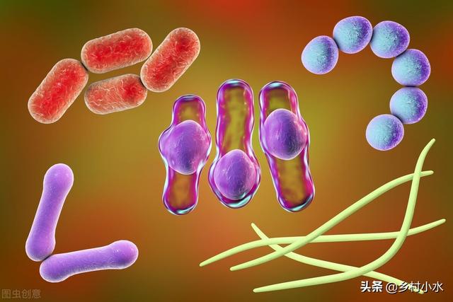 用一次管一季分享6个独特方法有效杀灭蛴螬(图3)