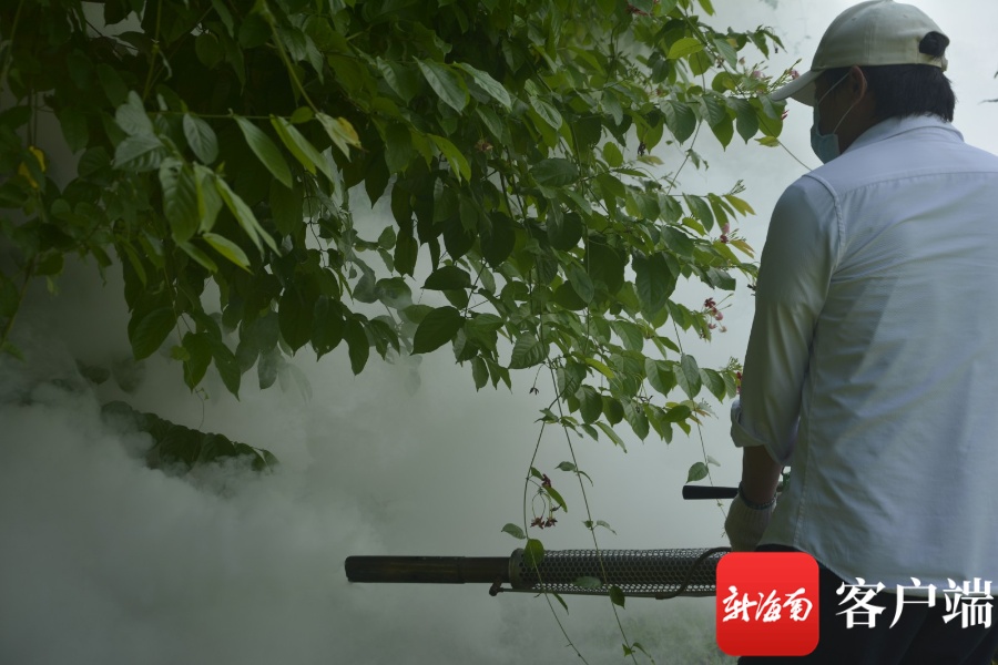 清理积水、消杀蚊虫……海口全面开展消杀灭蚊防控登革热疫情工作(图1)