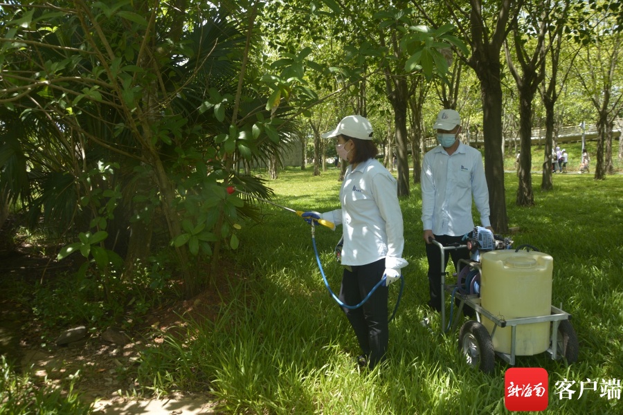清理积水、消杀蚊虫……海口全面开展消杀灭蚊防控登革热疫情工作(图3)