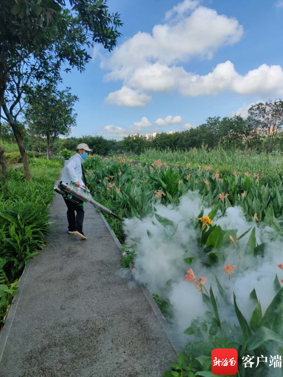 清理积水、消杀蚊虫……海口全面开展消杀灭蚊防控登革热疫情工作(图4)