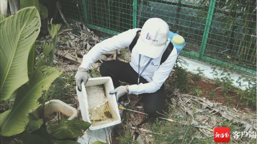 清理积水、消杀蚊虫……海口全面开展消杀灭蚊防控登革热疫情工作(图5)