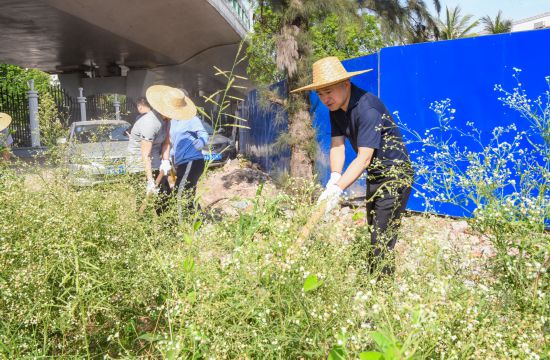 党员干部带头全市统一行动海口今起打响集中灭蚊战(图2)