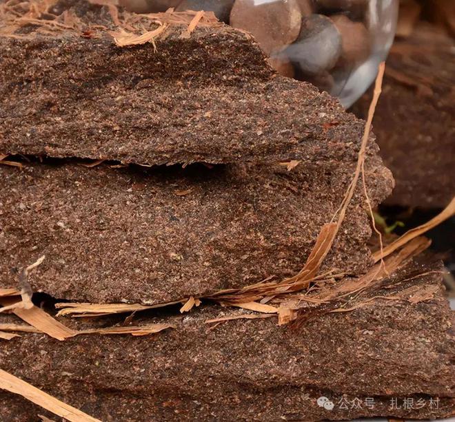 为何有人高价收购茶麸？原来茶麸也是个宝如此多厉害的用处可惜如今少见了(图2)