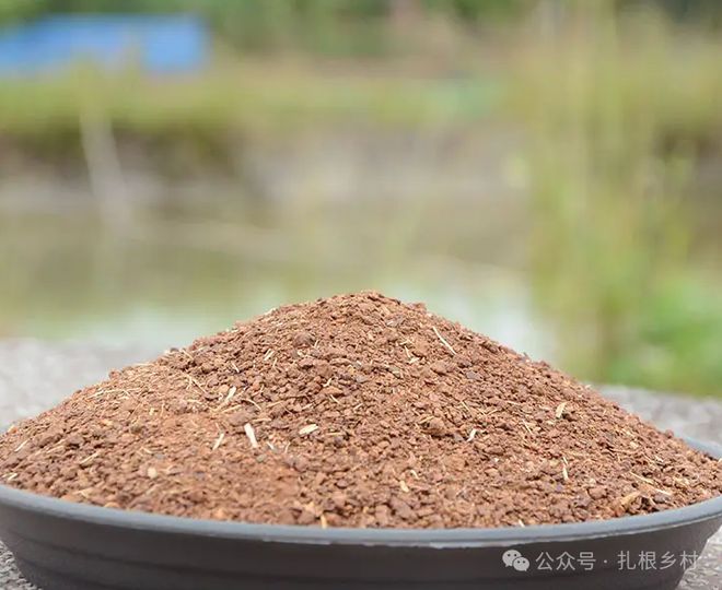 为何有人高价收购茶麸？原来茶麸也是个宝如此多厉害的用处可惜如今少见了(图4)