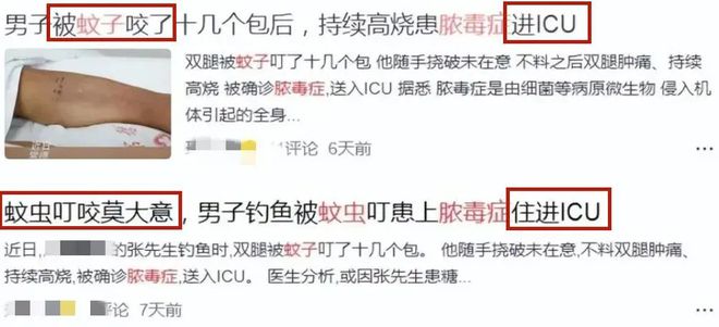 澳洲爆火“捕虫盒”！9999%虫子自投罗网太厉害了！(图2)