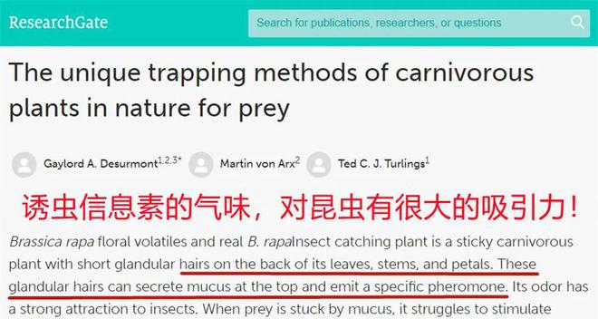 澳洲爆火“捕虫盒”！9999%虫子自投罗网太厉害了！(图20)