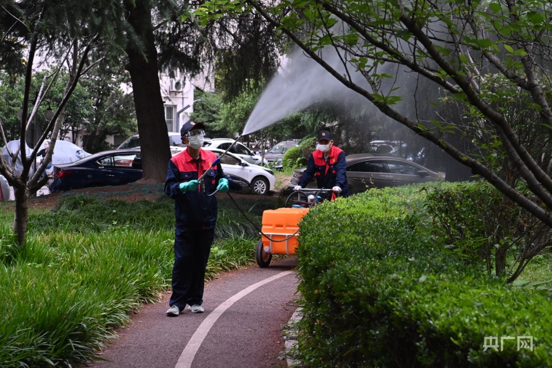 “止叮卫士”的一天(图1)