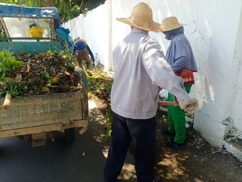 苏州渭塘：集中整治提“颜值”五色联动塑新颜(图1)