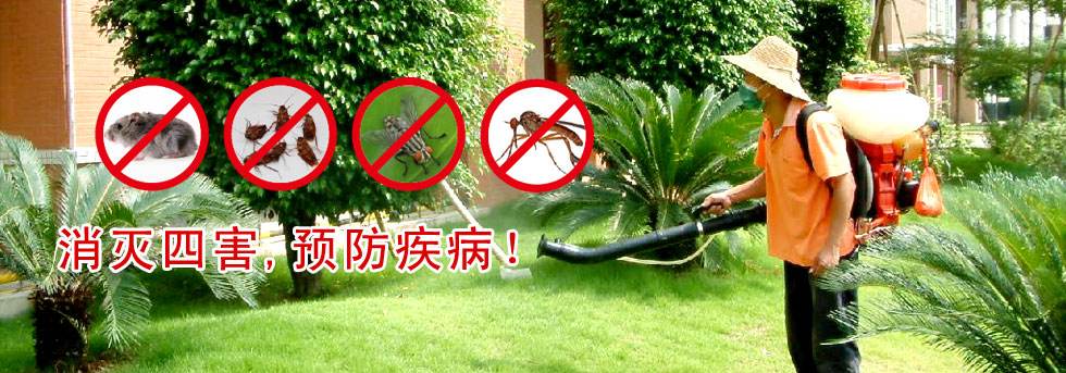 四害消杀消毒防治解决方案(图1)