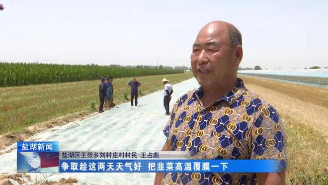 在希望的田野上丨王范乡：用日晒高温覆膜法种出“绿色”韭菜(图3)