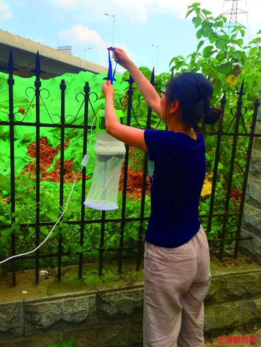 防蚊有技巧这些方法可“安排”(图1)