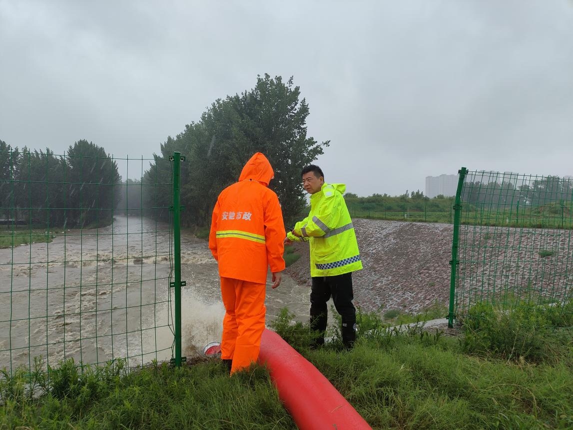 沐雨栉风清洁忙刷新港区新“颜值”(图1)