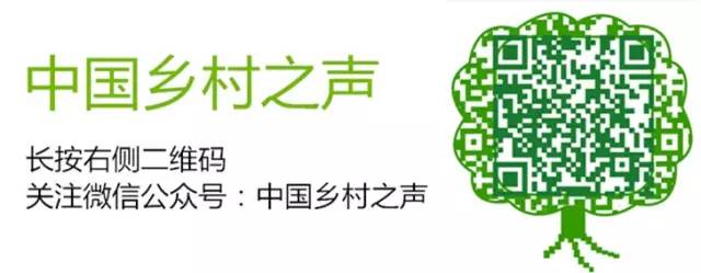植物+蔬菜防治病虫害无毒又无害(图8)