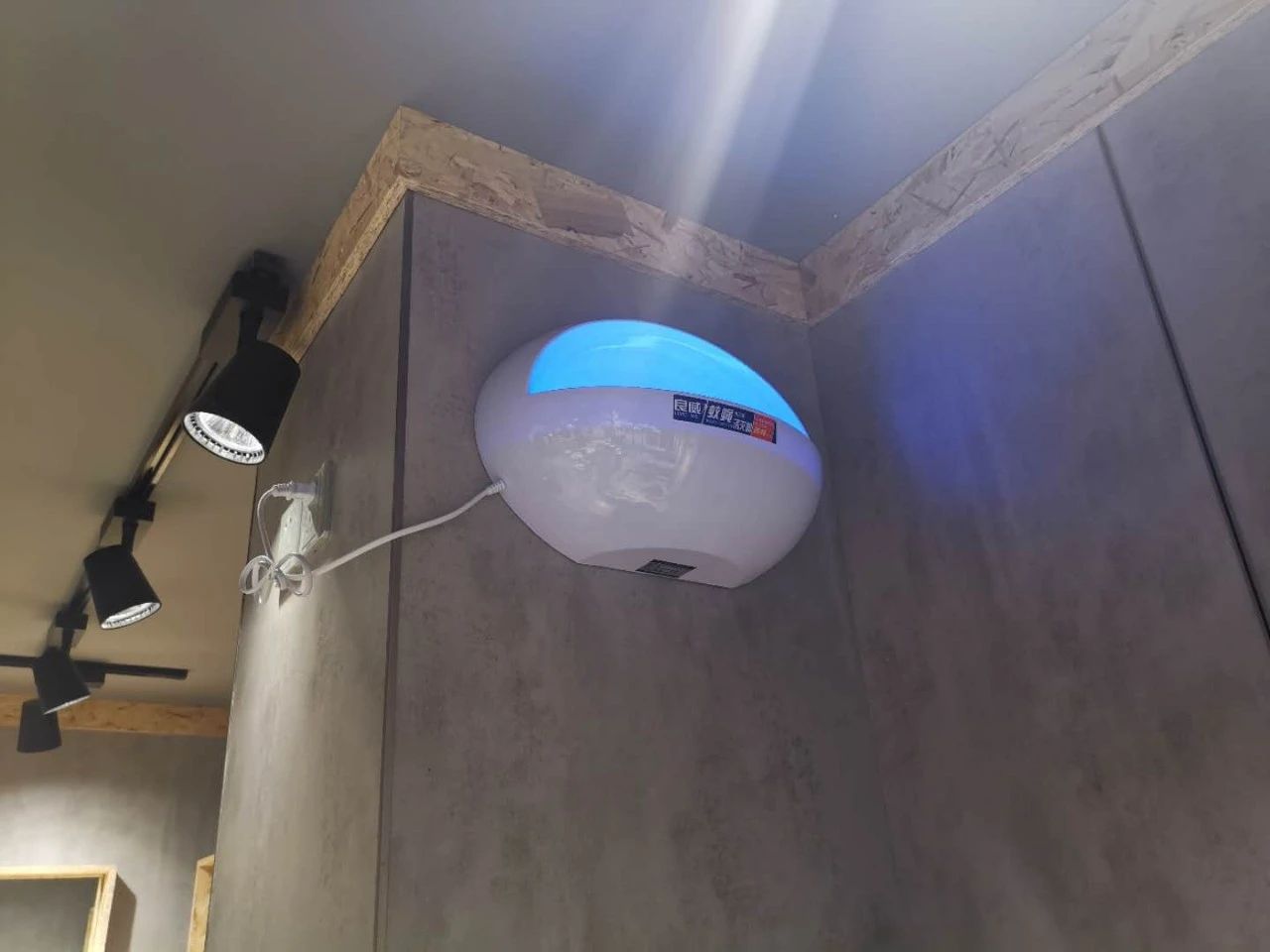 一只虫子弄倒一家店！聪明的餐饮老板这样做蚊虫消杀工作(图3)