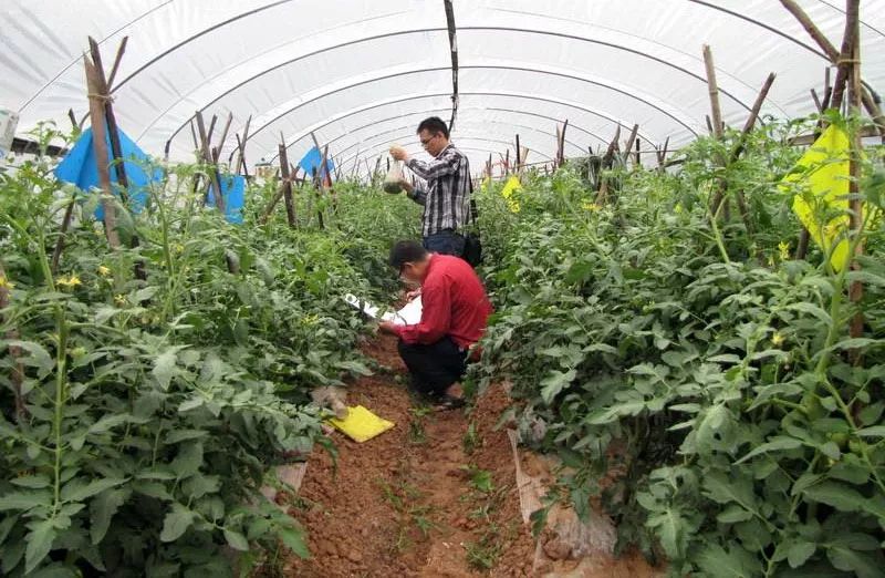 68种杀虫剂用药指南看完秒变专家！(图4)