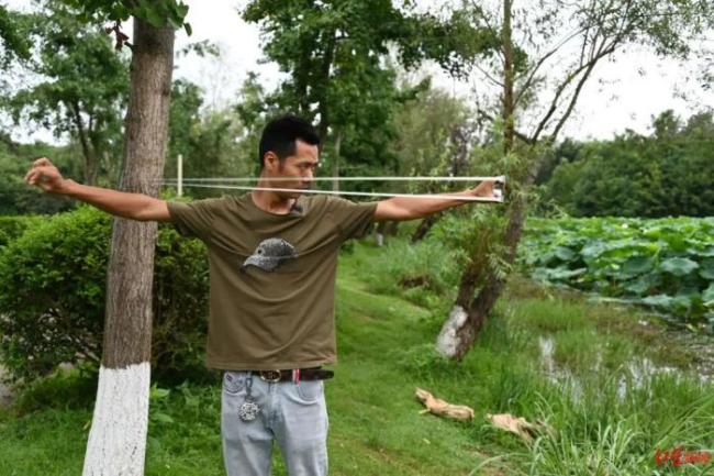 福寿螺在成都遇到天敌了弹弓高手精准灭螺引热议(图1)