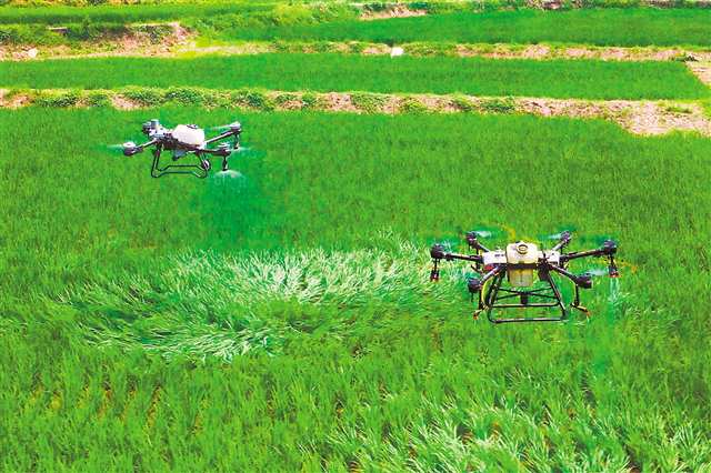 新华网重庆频道(图1)