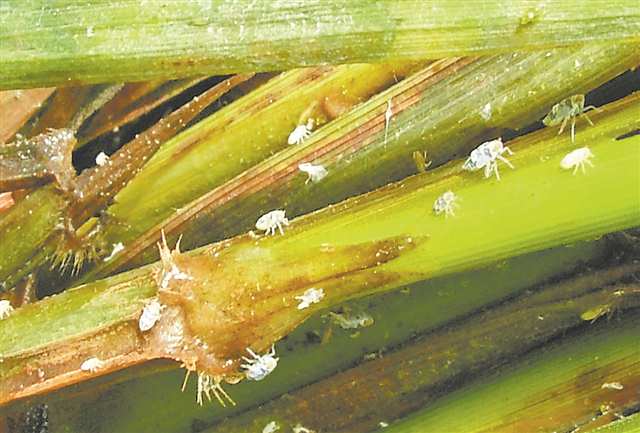 新华网重庆频道(图2)