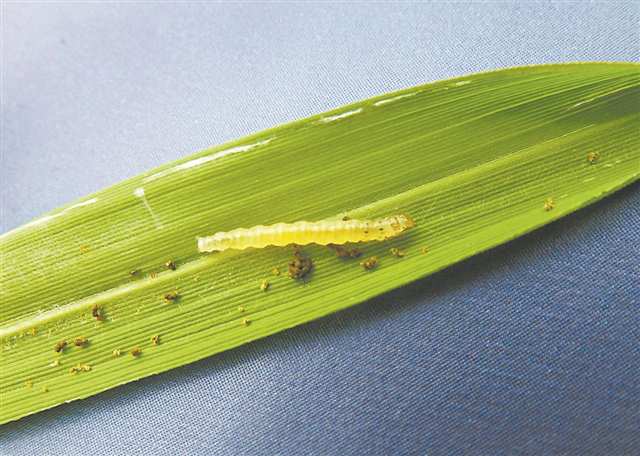 新华网重庆频道(图4)