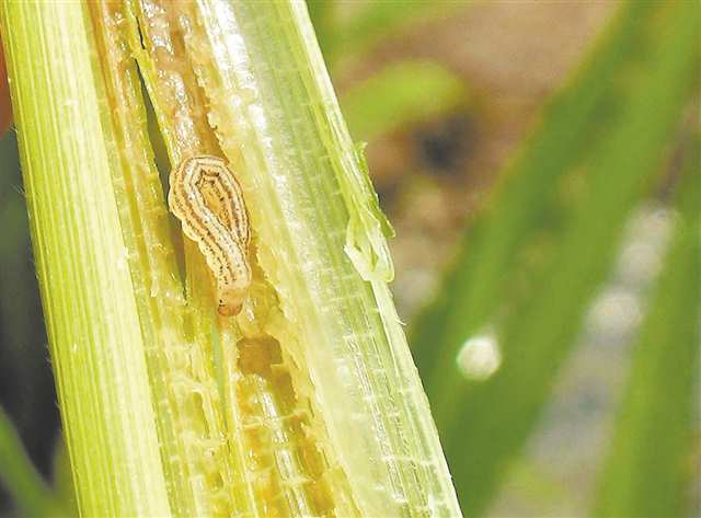 新华网重庆频道(图3)