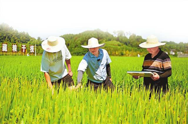 新华网重庆频道(图5)