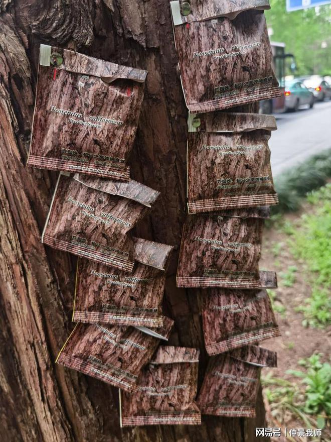 杭州西湖杀虫不用农药(图1)