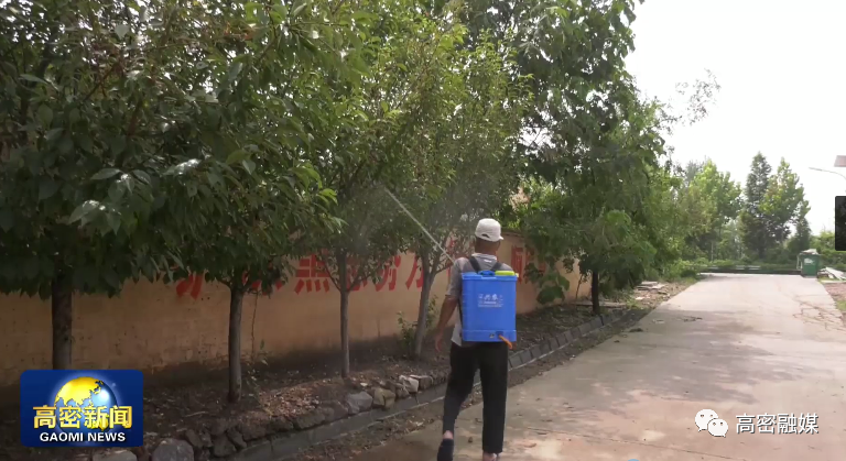 醴泉街道全力防治林业虫害(图2)