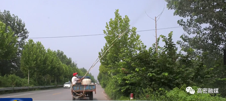 醴泉街道全力防治林业虫害(图1)