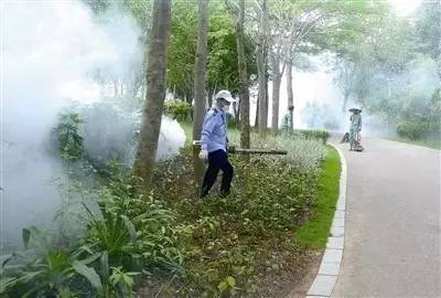 五城区加大蚊虫消杀力度灭蚊可找已备案的28家单位购买(图1)