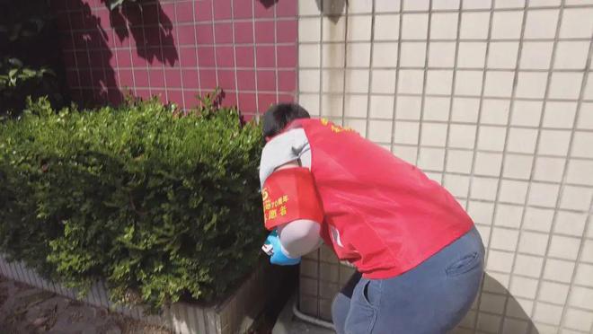 病媒生物防制！黄浦在行动→(图3)