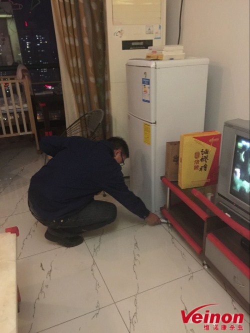 灭蟑螂方案-北京除虫杀虫灭虫公司_灭鼠灭蟑螂灭蚂蚁灭四害消杀公司_北京维诺康(图2)