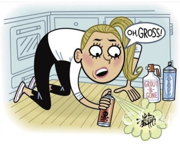 深圳灭蟑螂灭蟑螂公司怎么哪有公司除虫灭鼠杀虫(图3)