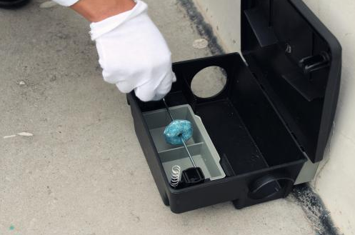 深圳灭鼠专业灭鼠公司怎么灭老鼠哪有公司除虫(图2)