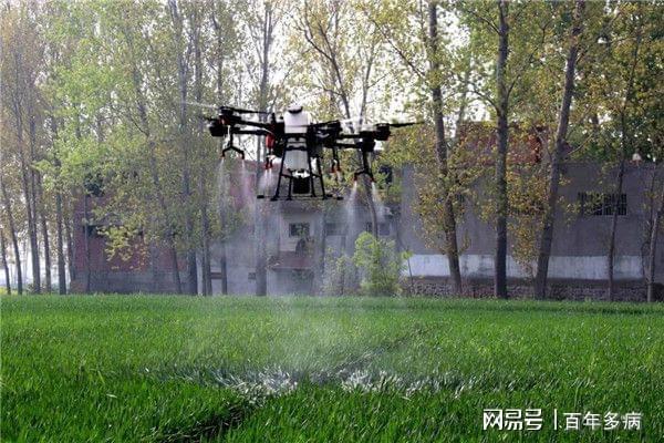 每年7月农村这种害虫太可怕玉米成了主要受害者？你知道吗(图6)