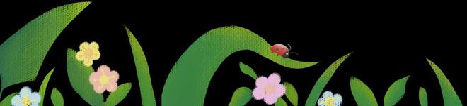 以虫治虫平谷区释放40万头异色瓢虫(图2)