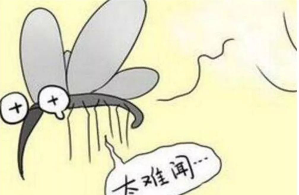 【温馨提示】怎么灭蚊子六种方法轻松灭蚊子(图3)