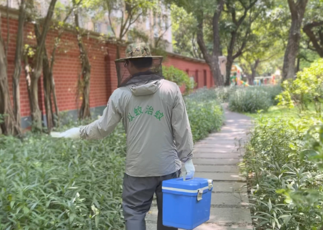 广东“蚊子工厂”上演蚊子江湖“无间道”(图1)