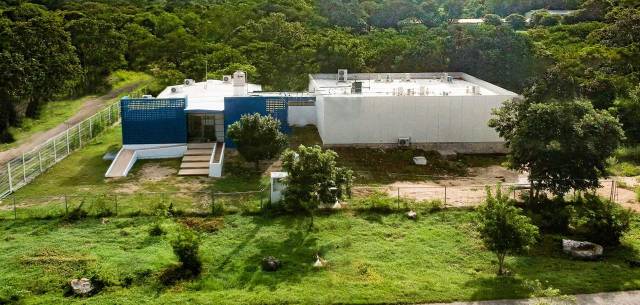 广东“蚊子工厂”上演蚊子江湖“无间道”(图3)