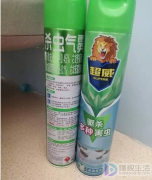 熊猫体育网站：怎么消灭蚊虫(图1)