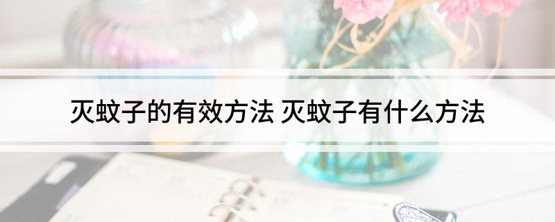 灭蚊子的有效方法(图1)