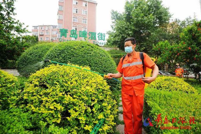 当心！全球每年有数十万人因它丧命青岛人这样应对(图4)