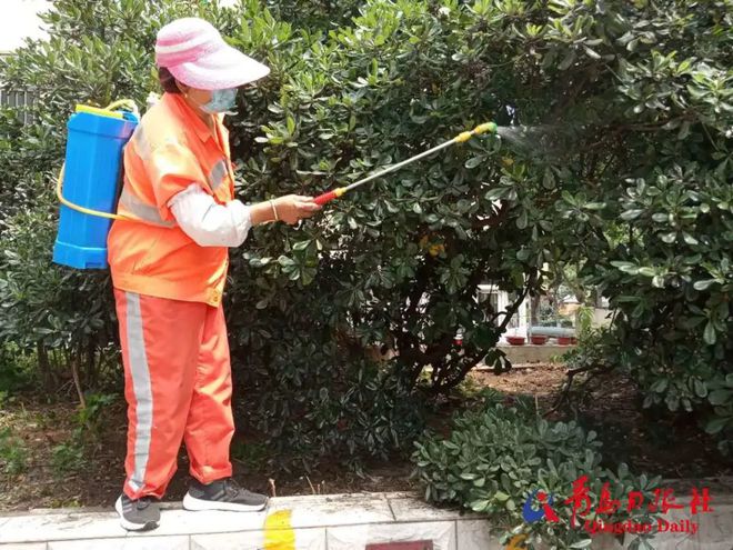 当心！全球每年有数十万人因它丧命青岛人这样应对(图5)