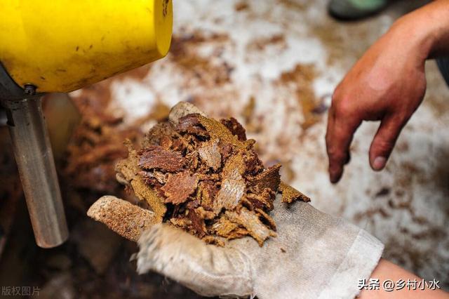 蜗牛、菜青虫用什么药防治效果最好？这样防治一次就解决(图4)