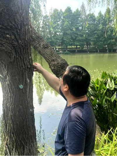 住建局：以虫治虫绿色防控(图1)