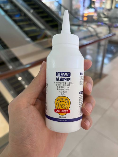 怎样消灭蚂蚁：蚂蚁药哪里有卖？拯救你家免受侵扰的妙招！(图3)