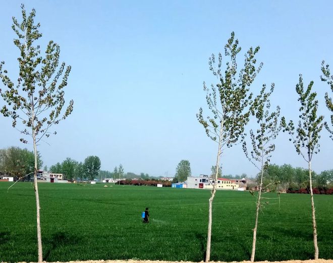 20种常用杀虫剂用法详解！（最新整理）(图2)