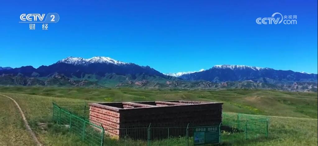 设立监测点、无人机撒药……新疆昌吉多措并举治理虫害(图3)