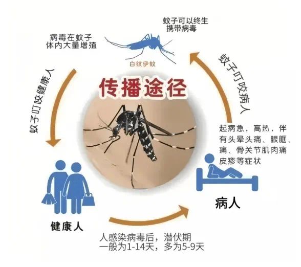 广州报告3例本地病例！专家提醒→(图2)