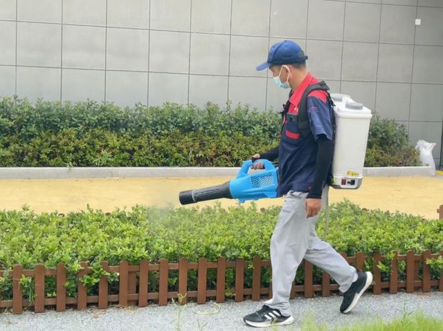 合肥市长江路幼儿园教育集团淮北路分园：相逢在即“卫”爱先行(图6)